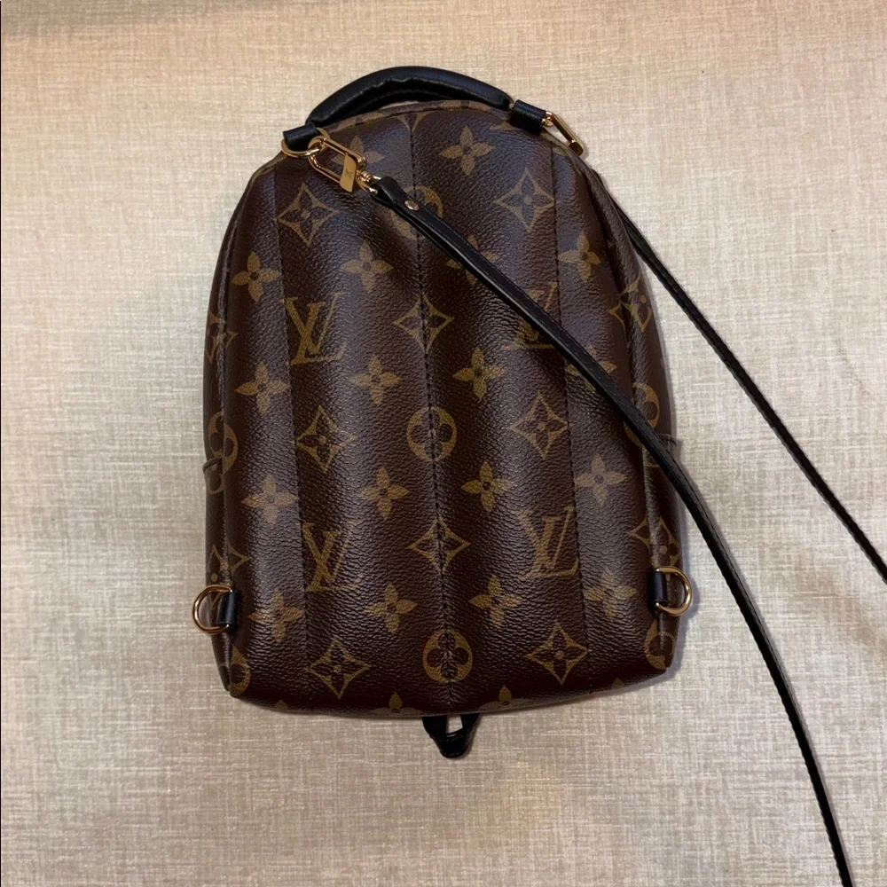 Louis Vuitton Monogram Palm Springs Mini Backpack - Picture 3 of 8